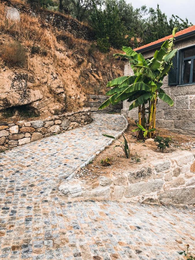 Quinta Do Fojo Valonguinho, Barro Bed and Breakfast Barro  Eksteriør billede